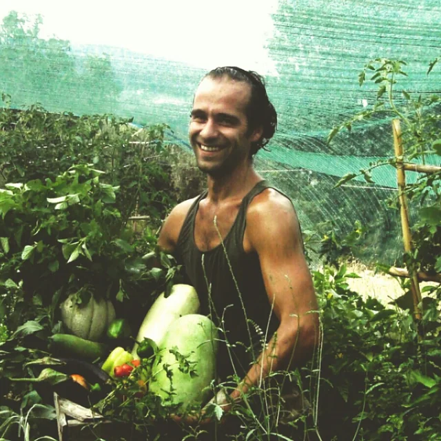 Theodore Vlachogiannis on his smallholding in Dorida, Phokis, central Greece